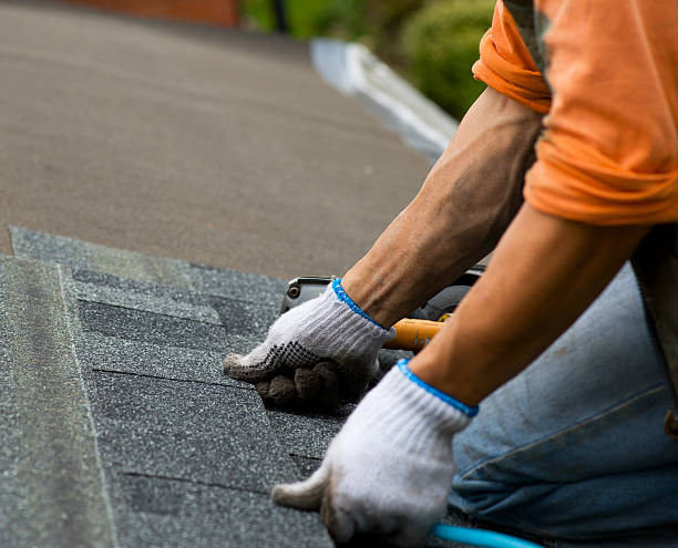 Quick and Trustworthy Emergency Roof Repair Services in Lewisburg, WV